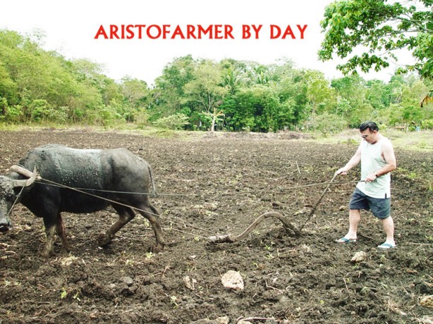 The Aristofarmers