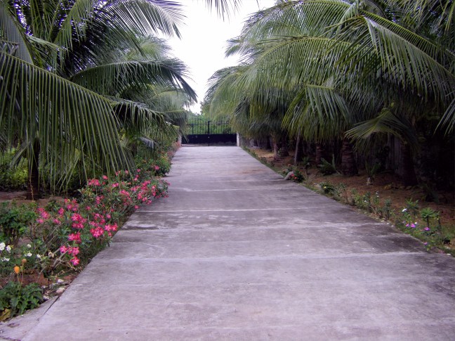 EVAN ILIADIS-INFO. PHILIPPINES YEARS