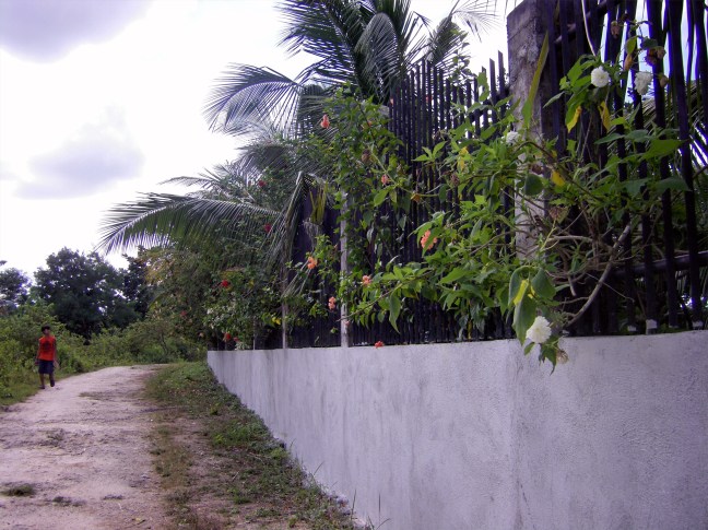 EVAN ILIADIS-INFO. PHILIPPINES YEARS