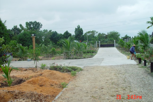 EVAN ILIADIS-INFO. PHILIPPINES YEARS