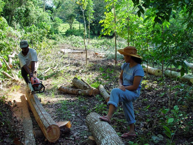 EVAN ILIADIS-INFO. PHILIPPINES YEARS