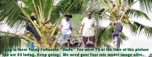 The Aristofarmers | Evan Iliadis blog