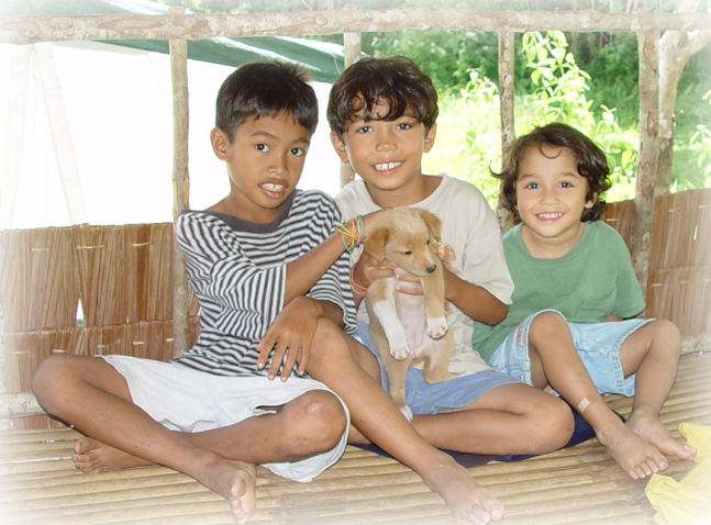 The farm Stela’s paradise. | Evan Iliadis blog