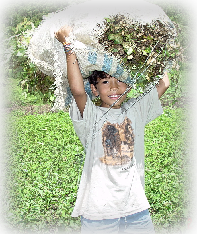 The farm Stela’s paradise. | Evan Iliadis blog The farm Stela’s paradise.