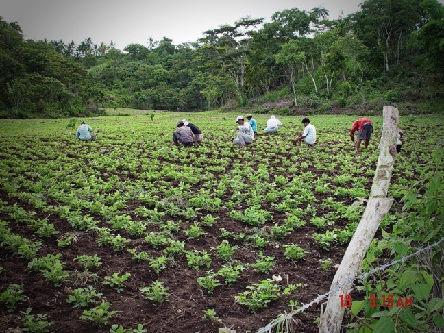 The farm Stela’s paradise.